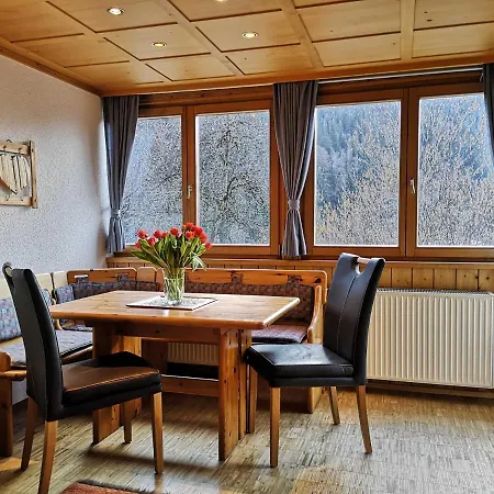 Düngler Apartment Schruns